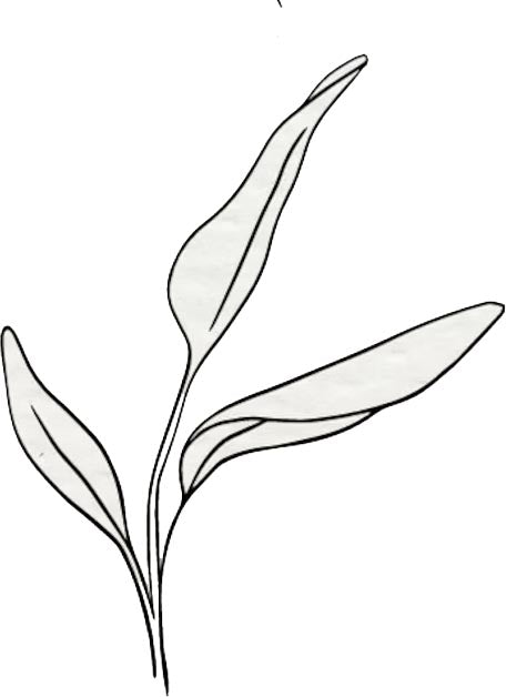 California White Sage and Grape Leaves ring with vintage green sapphire