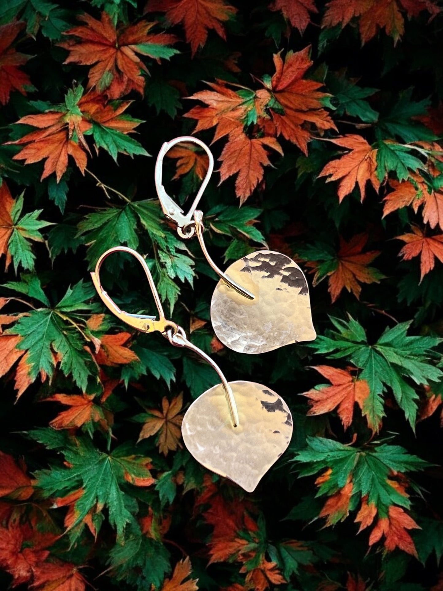 Aspen Leaves by Bill Ikler